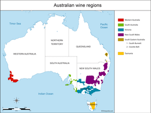 Explore Australia's Best Wine Regions (For Newbies!)