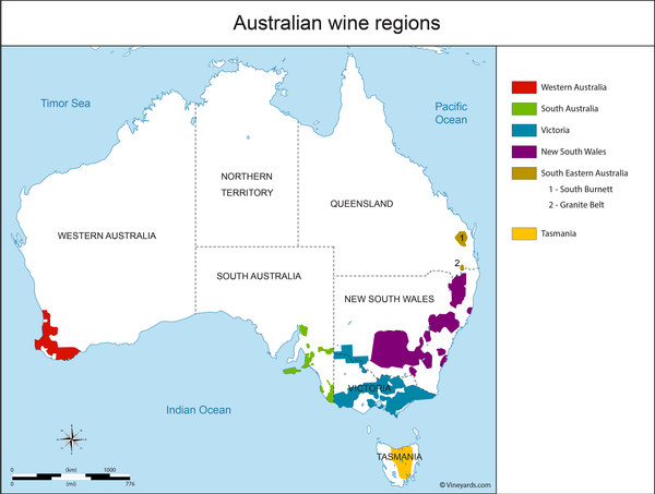 Explore Australia's Best Wine Regions (For Newbies!)