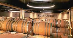 The Best Egly-Ouriet Champagne to Buy in 2025 – Tasting Notes, Prices
