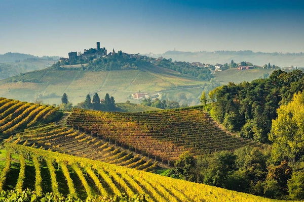 Piedmont Moscato