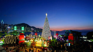 Winter In Hong Kong