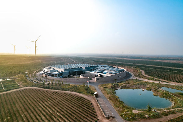 China Xige Winery