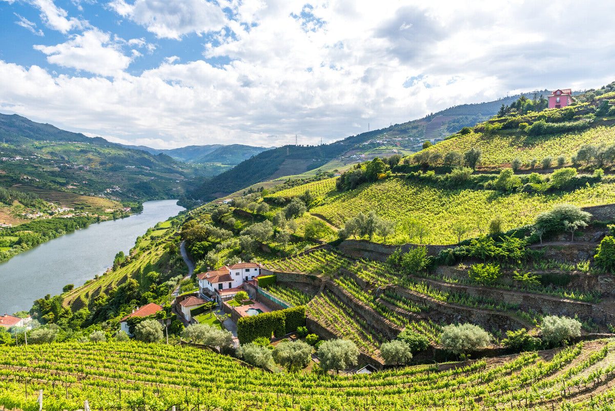 Portugal wine region