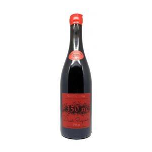 David Reynaud Saint-Joseph 350 m Haut Plateau de Gneiss 2021