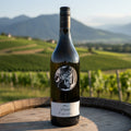 Image for Johannes Zillinger Reflexion Kellerberg Gruner Veltliner 2023